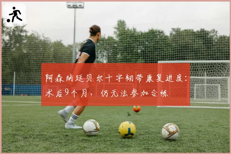 阿森纳廷贝尔十字韧带康复进度:术后9个月,仍无法参加合练