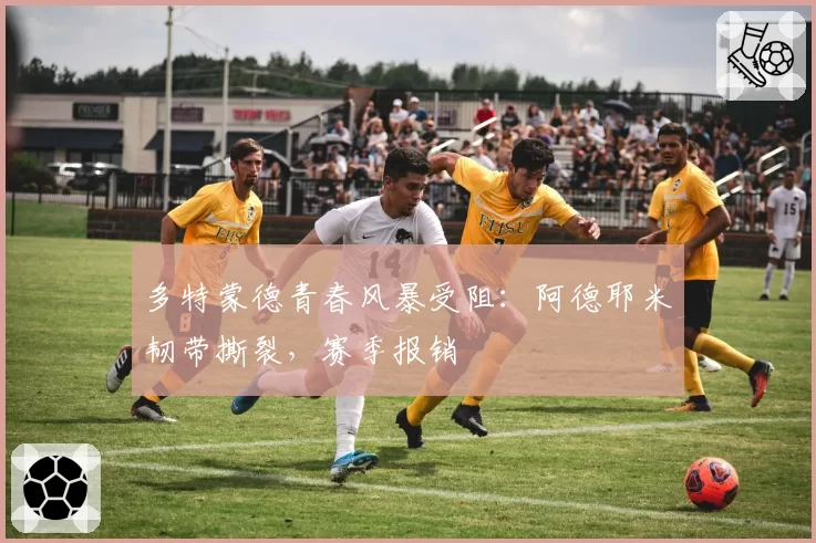 多特蒙德青春风暴受阻：阿德耶米韧带撕裂，赛季报销
